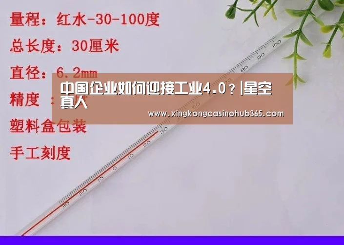 中国企业如何迎接工业4.0?|星空真人(图1) 星空官网